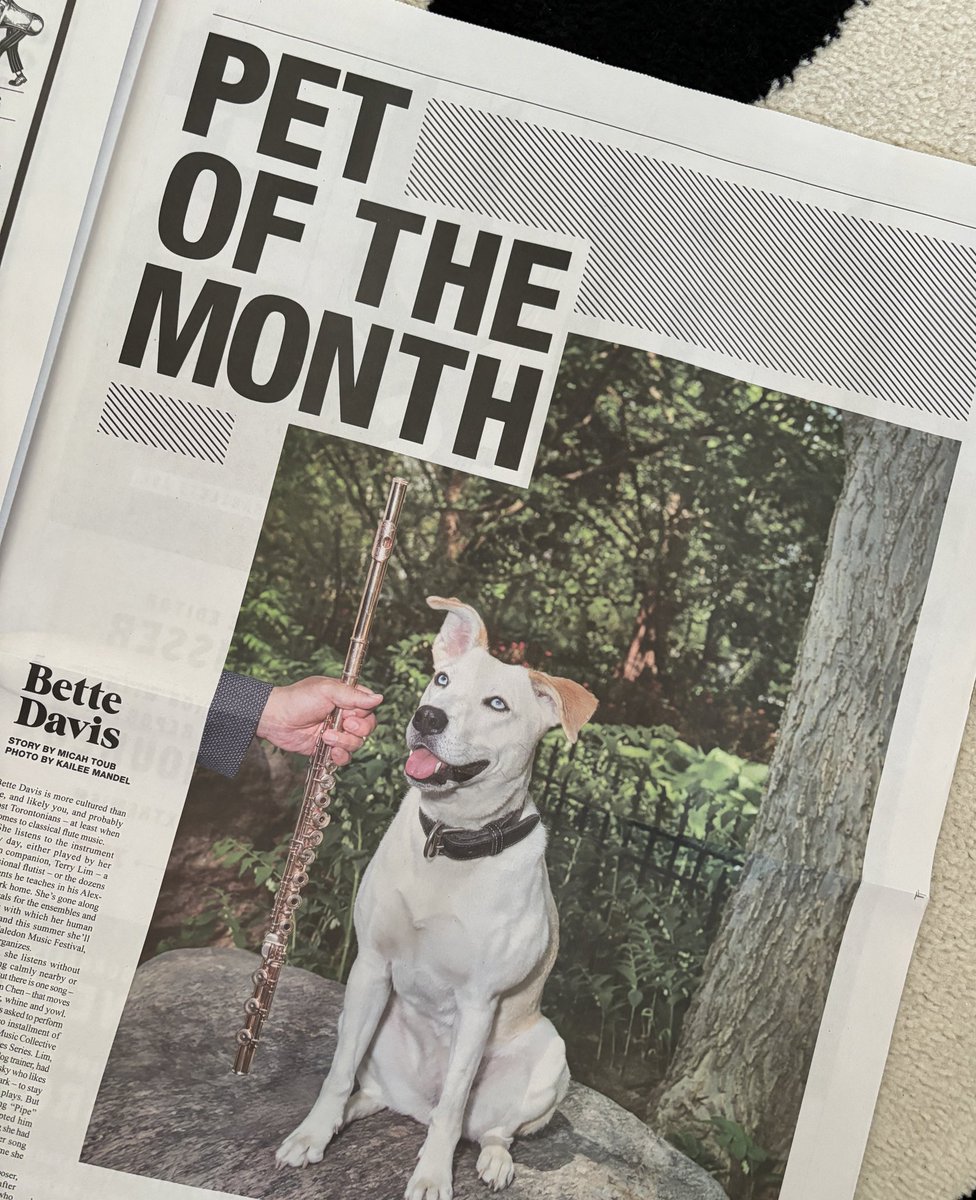 westendphoenix's tweet photo. This photo screams READ ME. 

Say hello to Bette Davis, our Pet Of The Month.

Fantastic work from @KaileeMandel and @MicahToub in the latest issue of WEP, out now. https://t.co/SzyQbVi8ga