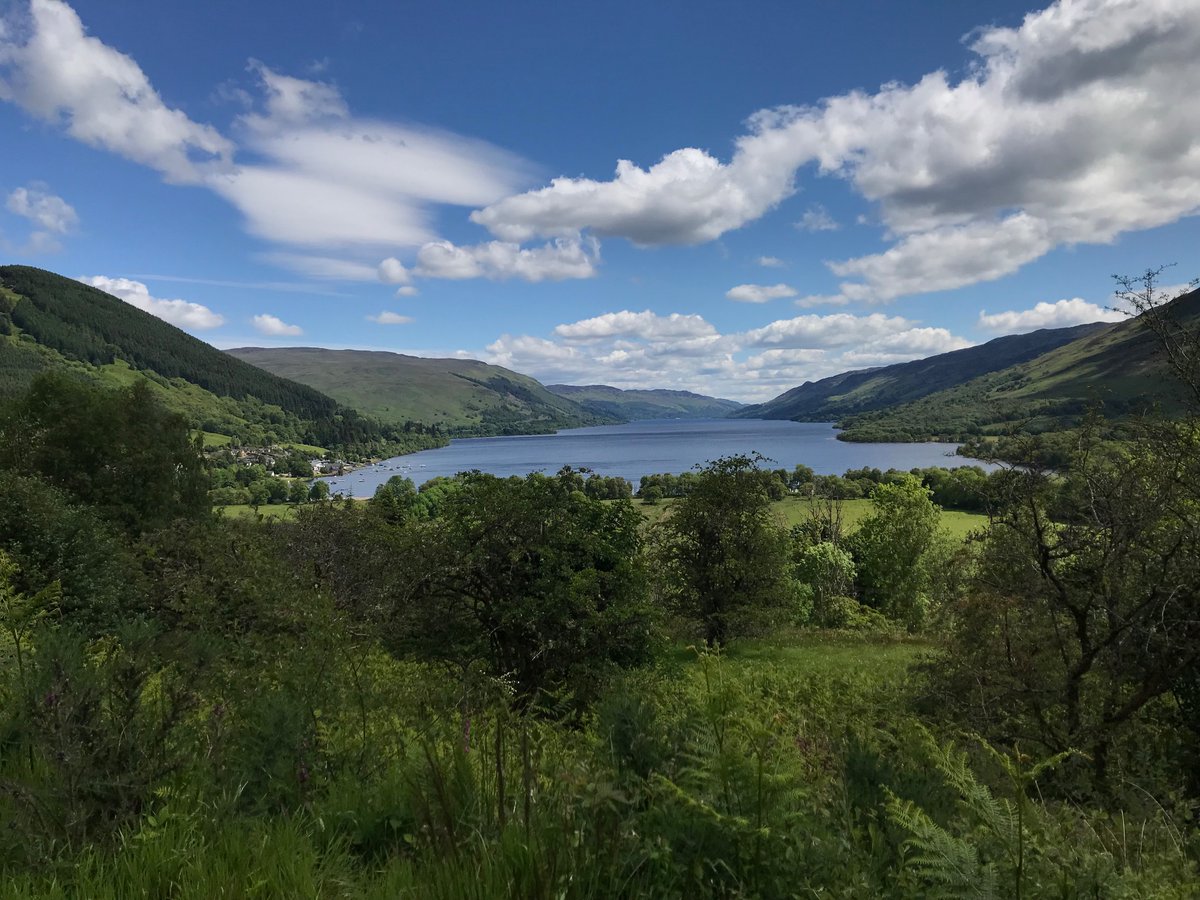 Mary Allison tweet media