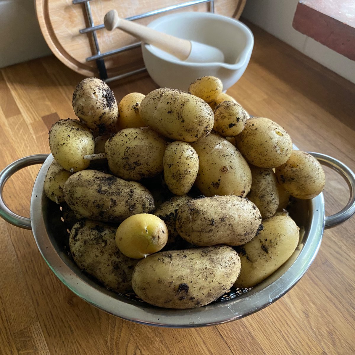 Sophie B tweet media