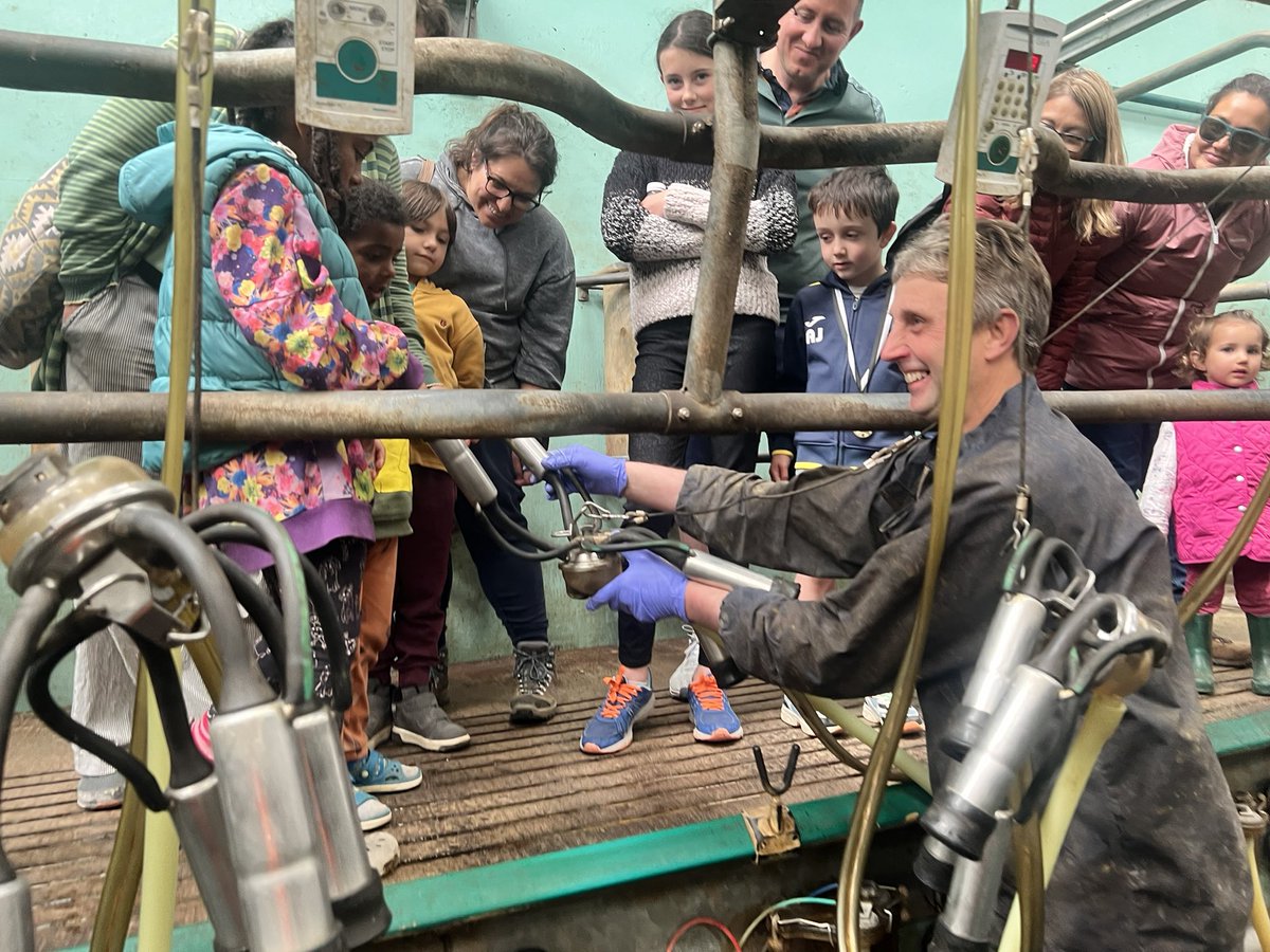 AbiReader's tweet photo. @OpenFarmSunday complete ✅
Superb day showing 950 visitors around
They met cows, calves, tractor & trailer ride, saw the milking & breathed in the fresh air
Huge thanks to the team 🙌
#ofs #ofs24 #LOFS https://t.co/VdPX6wMkfZ