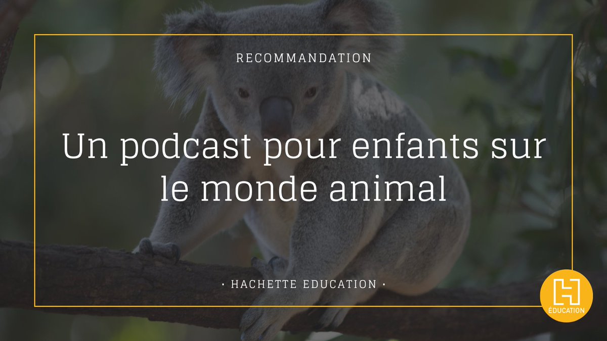 HachetteEduc's tweet image. 🎙️ Une #recommandation podcast ça vous dit ? France Inter propose "Bestioles", un podcast pour les 5-7 ans (et les plus grands) comprenant des épisodes sous forme de petites histoires éducatives pour en apprendre plus sur les animaux, petits ou grands.
🐞brnw.ch/21wKANm