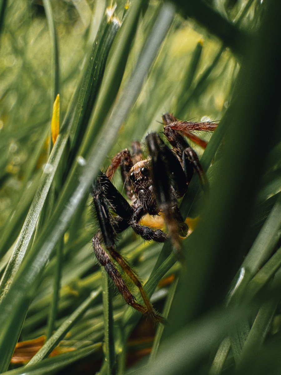 BenGilmore900's tweet photo. @TailosiveTech I love using macro mode on the 15 pro max. https://t.co/MYaGbUpbES