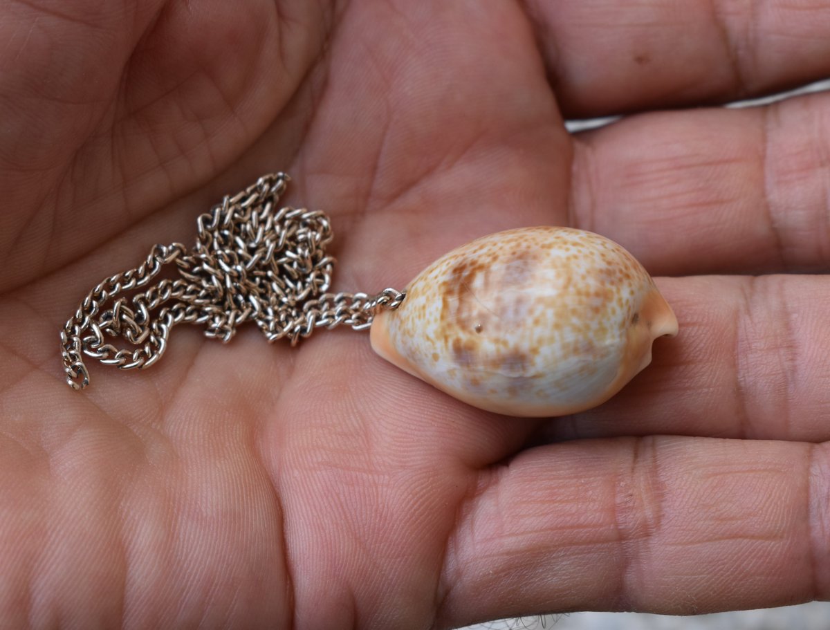 Ensé que el xiquet de bolquerets tenia desfici perqué li estaven eixint les dentetes, la iaia li donava una caragoleta perqué la mossegara i aixina les dents tallaren la geniva.