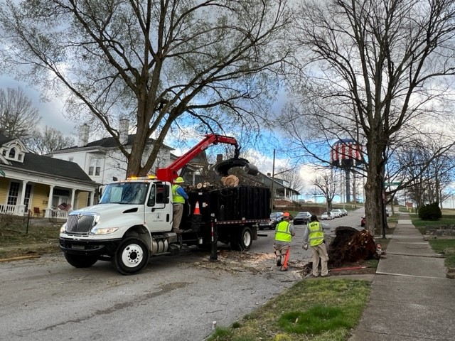 Bowling Green KY tweet media