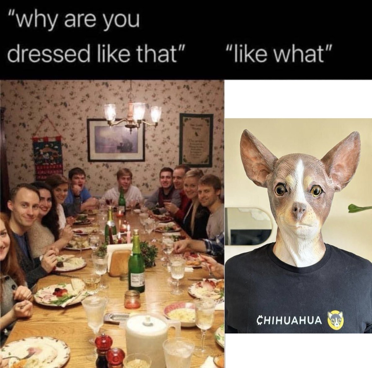 ChihuahuaChain's tweet photo. Woof?

$HUAHUA https://t.co/M3uTpawzMR