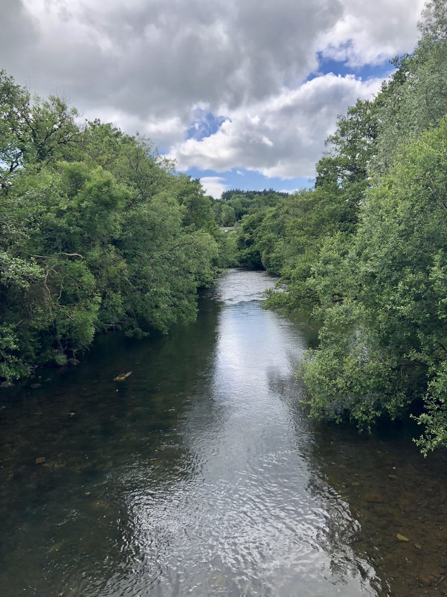 stubo37's tweet photo. Enjoyed exploring the disused #Llynfi railway line stretching into the village of  #Aberkenfig alongside the River #Ogmore as part of my #Pyle #Sarn #SlowWay adventure. Had the wait for the very protective and aggressive #Swans to saunter across the path to the nearby pond. https://t.co/lOWyGRTiZF
