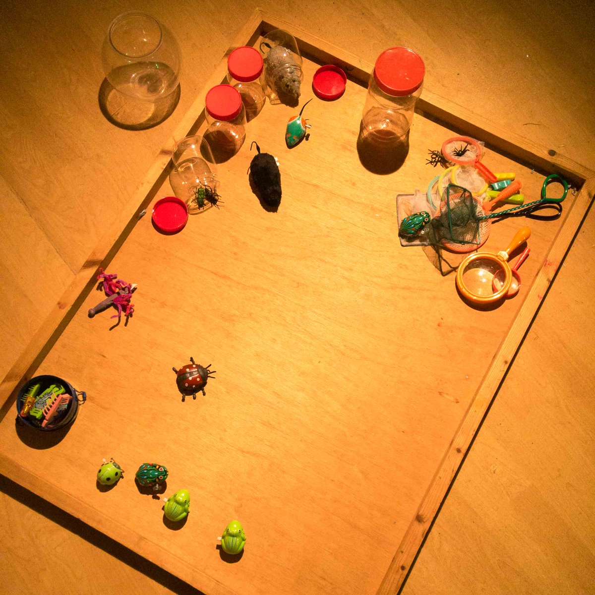BraysSchool1's tweet photo. In this week's workshop children become ants! They set off for the nest, ready to tend to the queen’s eggs and maintaining the nest. When they arrive they find lots of things to do; gathering and sorting the eggs, exploring tunnels in the nest and meeting other insects and bugs. https://t.co/I1U8BeJrMc