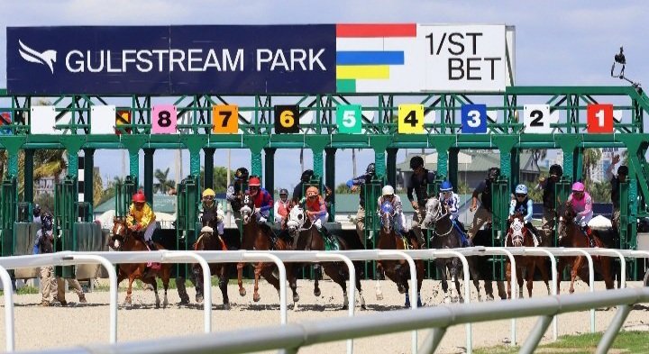 lotohipico's tweet photo. #DOMINGO #Junio09. 2024. #GulfstreamPark #AMERICANAS #hipismo @DerbyNoqueador
Asesoría +58 4248131900.
✔️PRIMERA CARRERA: 4-7/3. 🏇👊 https://t.co/5Gr2IZa5zh