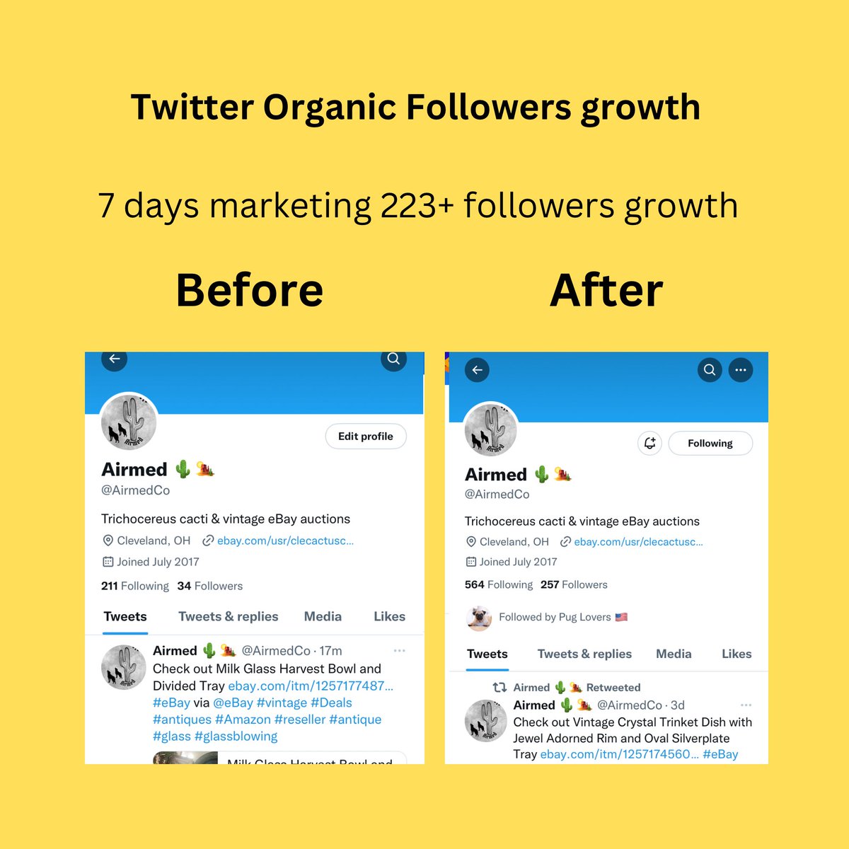 XGrowthAgency's tweet photo. Another Happy Client 😊

👉Fast Growth 220+ followers in 7 days.

💌DM Us for 100% organic growth.

#twitter #X #TwitterMarketing #XMarketing #TwitterFollower #XFollower #organicgrowth https://t.co/aP0V3Sayxt