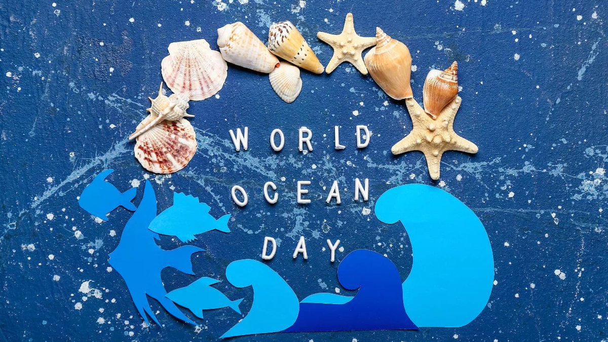 StJosephsAH's tweet photo. World Ocean Day activities #worldoceanday @AnchorLaterLife https://t.co/ukcbjxm6Ym