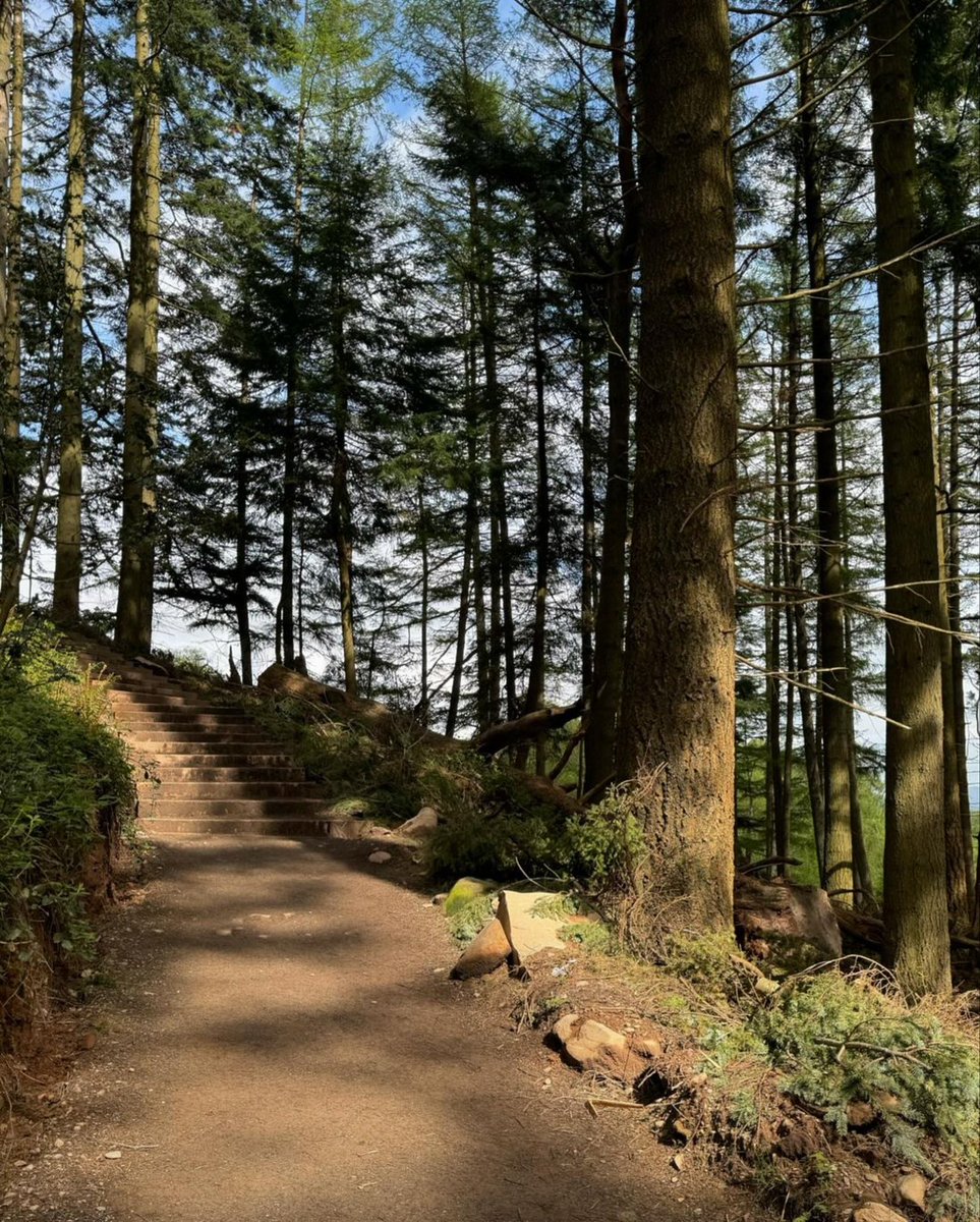 tarastravels's tweet photo. One of my favourite wee hills in Scotland, and I always seem to get (bring?) sunshine when I climb it. Well ok, not always, sometimes it’s liquid sunshine. 🙌🏼☀️💦🏴
And of course, being the #proudpeaker that I am, I’ve got to wave that #MPCflag at the top! 🥰💪🏼
#conichill #balmaha #scotland @MyPeakChallenge @SamHeughan @adventurepeaker @IslandPeakers