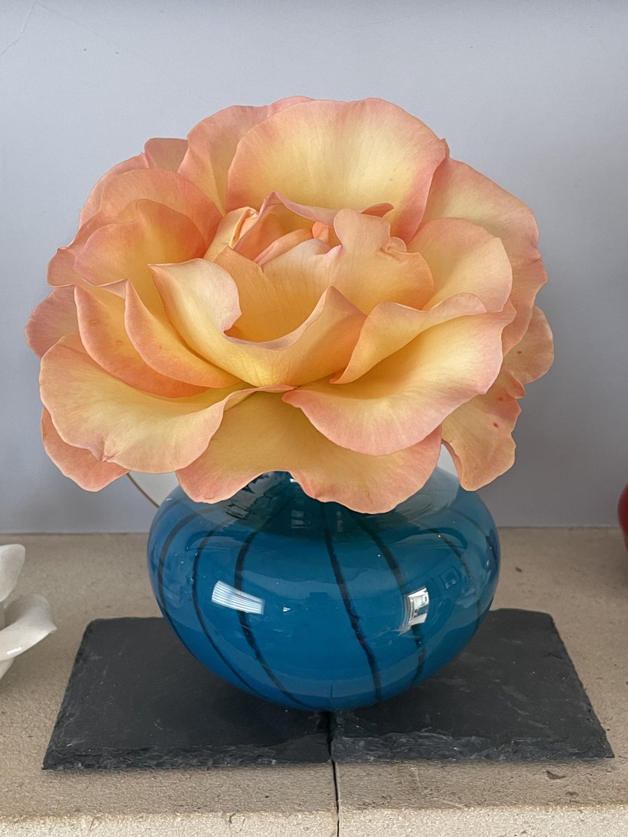 hatetorycuts's tweet photo. Bought this beautiful Mdina glass vase at flea market and it’s perfect for perfect rose
#RoseTwitter
#GardenTwitter
#FlowersOnSunday https://t.co/DCo8q7STzP