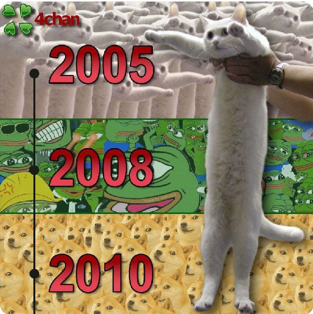 na3visry's tweet photo. @binance i am sharing you the $LONG cat meme that originated from 4chan that is older than pepe and doge

and @NobikoCoin is spreading good vibes and news knowing that it hit ATH of 13m just now 🐈 https://t.co/ycfbVEhCH0