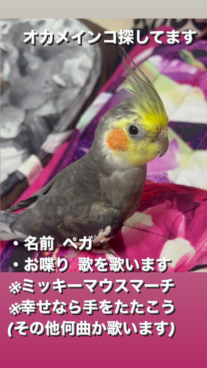 重力に負けた乳の三十路ばばぁ。👾 tweet media