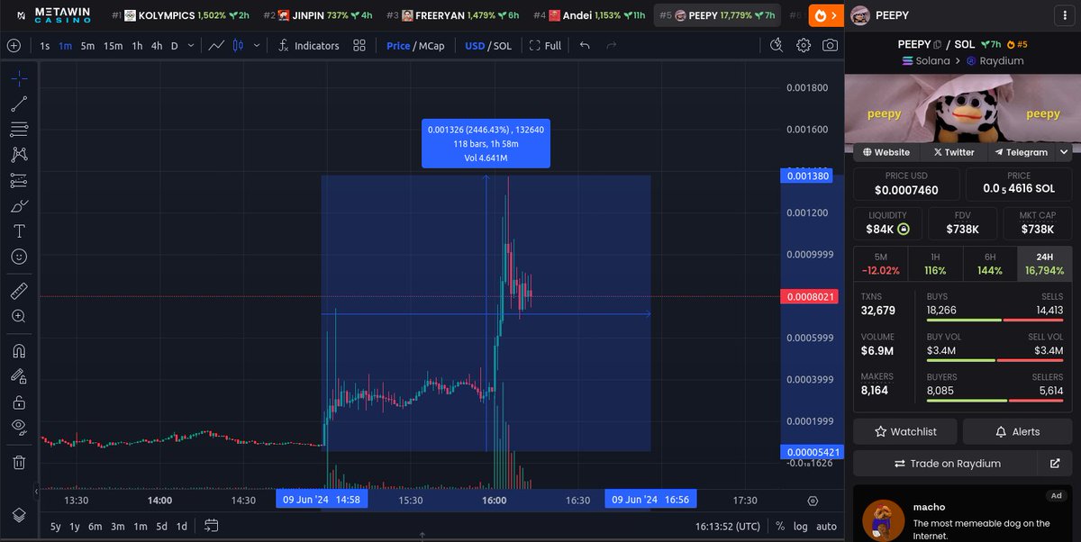 MemeCoin Whale Pumps tweet media
