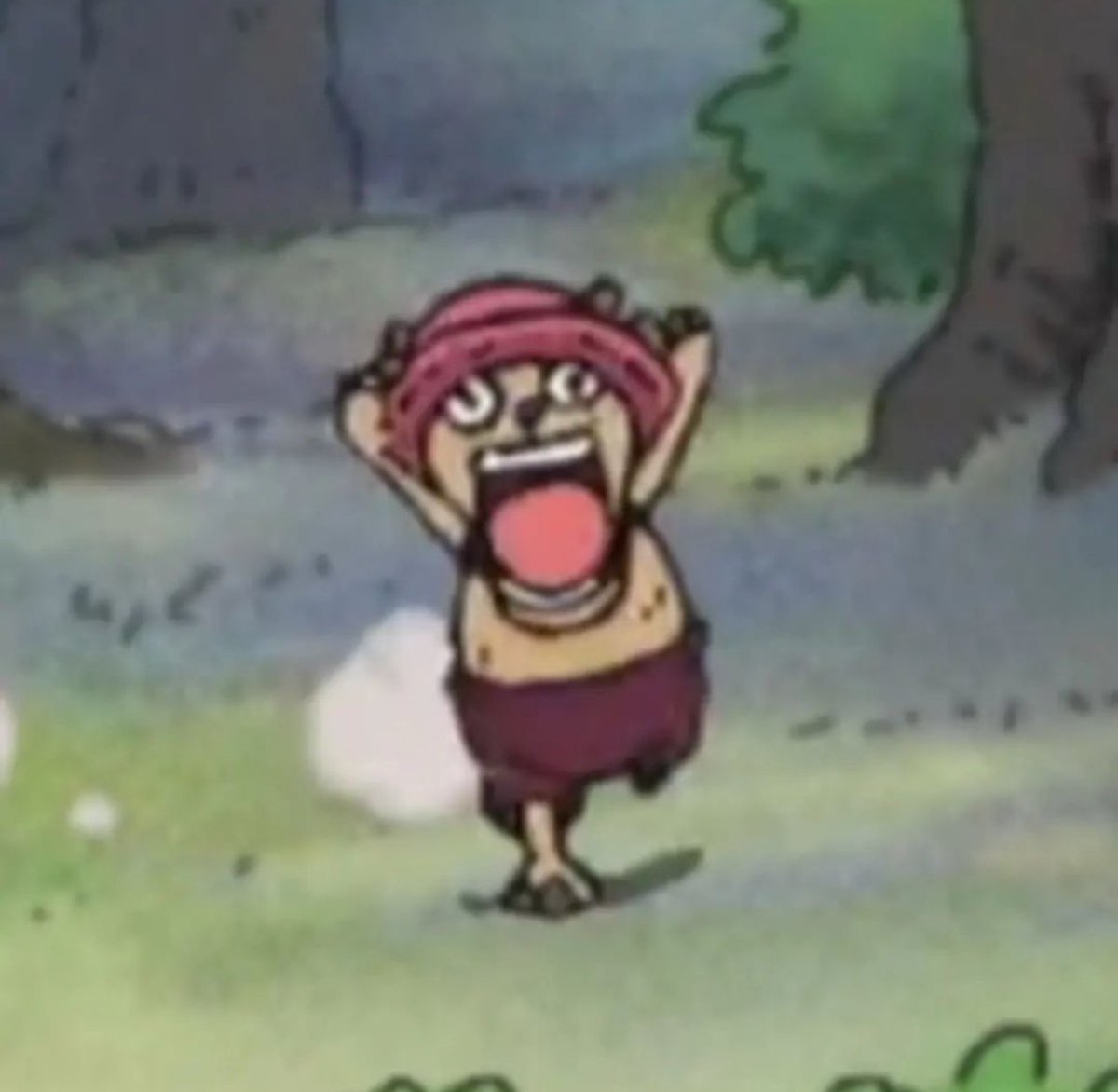 chopper daily (@ttcpics) on Twitter photo 