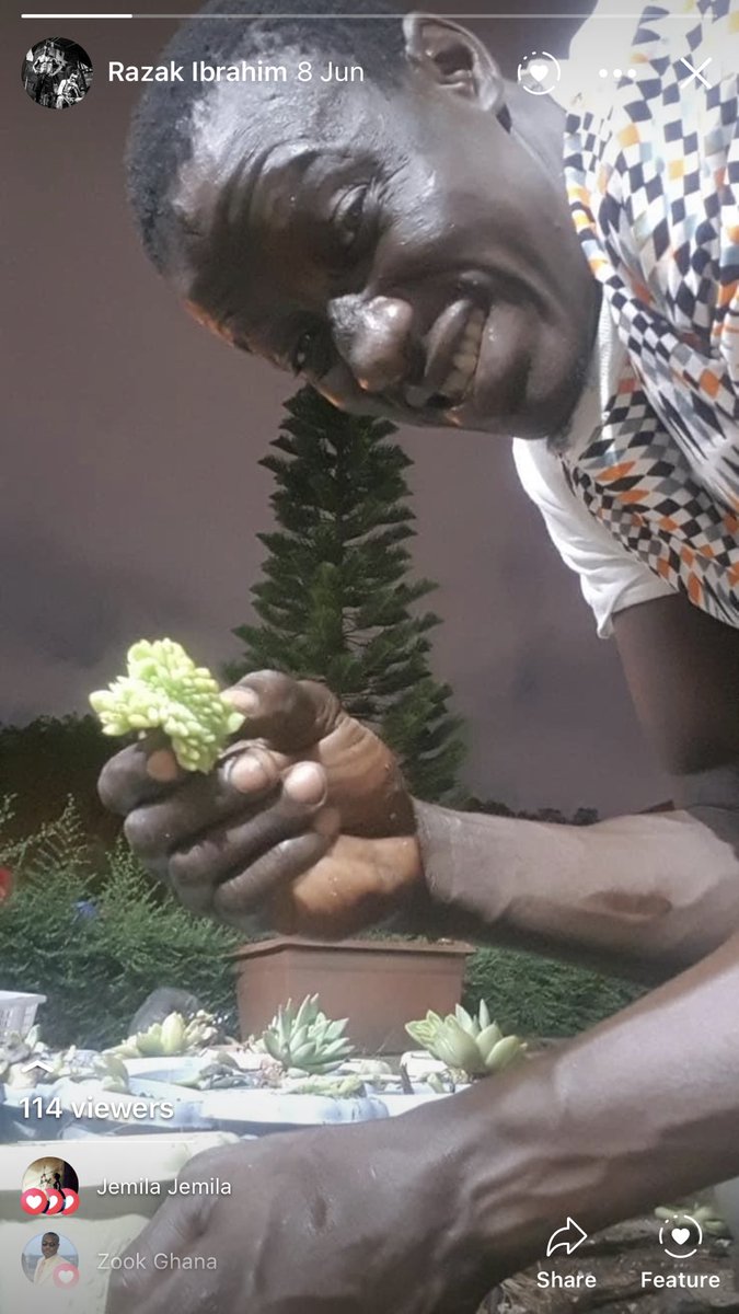 Having time for plants treatment and care is one way to improve a healthy life . # care for cactus # succulent plants . # scorpion king