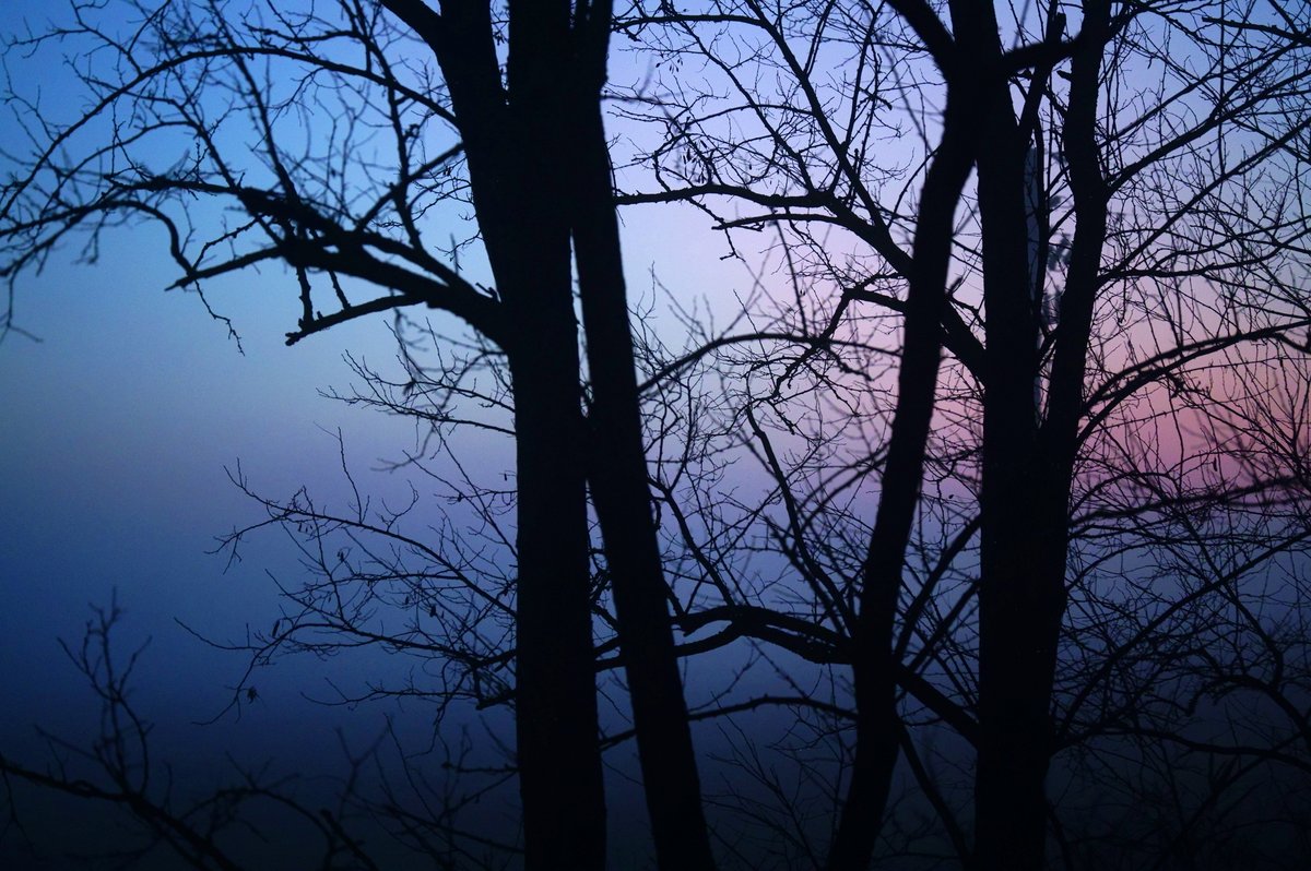Marco_Dadone's tweet photo. - lowlands' dawns and little miracles - 
Emilia Romagna, Italy.
#sigmafpl #sigma70marco
@foto_sigma
@SIGMA_foto
@SIGMA_sgv
@SigmaPhotoSpain
@SigmaFrance
@Sigma_japan
@SigmaImagingUK https://t.co/3vXXotv3WR