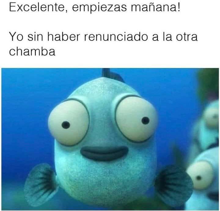 tarambaana (@tarambaana) on Twitter photo 