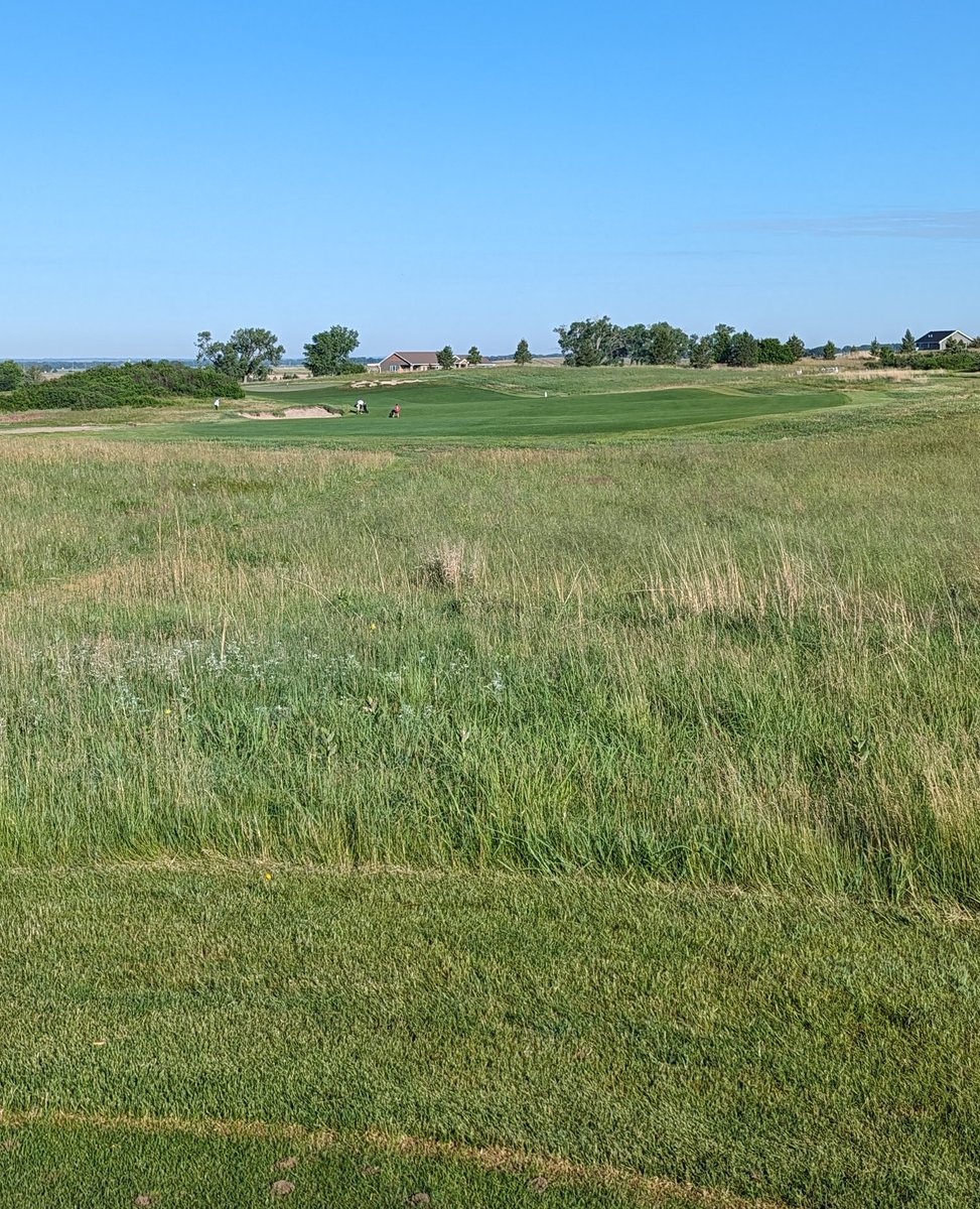 If there is a better way to spend $70 on golf, I haven't seen it*.  The routing is fantastic, great variety on the holes, and the greens... Those greens... 

Get. To. Gothenburg.

.<a href="/WHGC1998/">Wild Horse Golf Club</a>

(*And I get around a little bit)