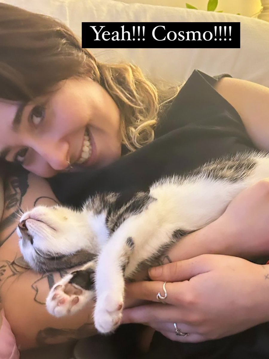 HELLO!!!
I am looking for somewhere to sublet/rent at an affordable price for this summer in London. It would be me and my little kitten Cosmo. Any leads would be really appreciated. 
Not going to have anywhere to live really soon and in a bit of a situation. PLS RT (he good boy)