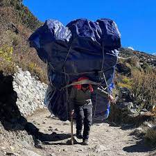 HerbertLeopard's tweet image. Quand t'as pris tous les bulletins pour aller dans l'isoloir.
#ElectionsEuropéennes2024