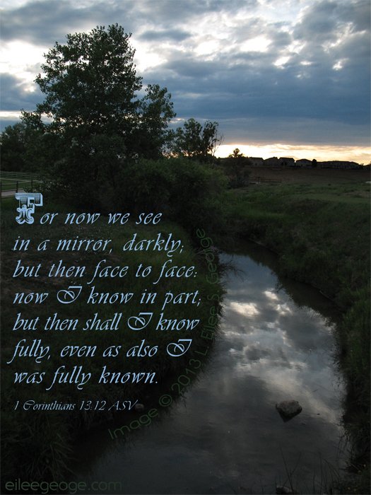 EiLeeGeorge's tweet photo. GM on Sunday
–❤️‍🩹 #eiCandee #ScripturePicture 👁️🍬 https://t.co/IR2sDapNe7