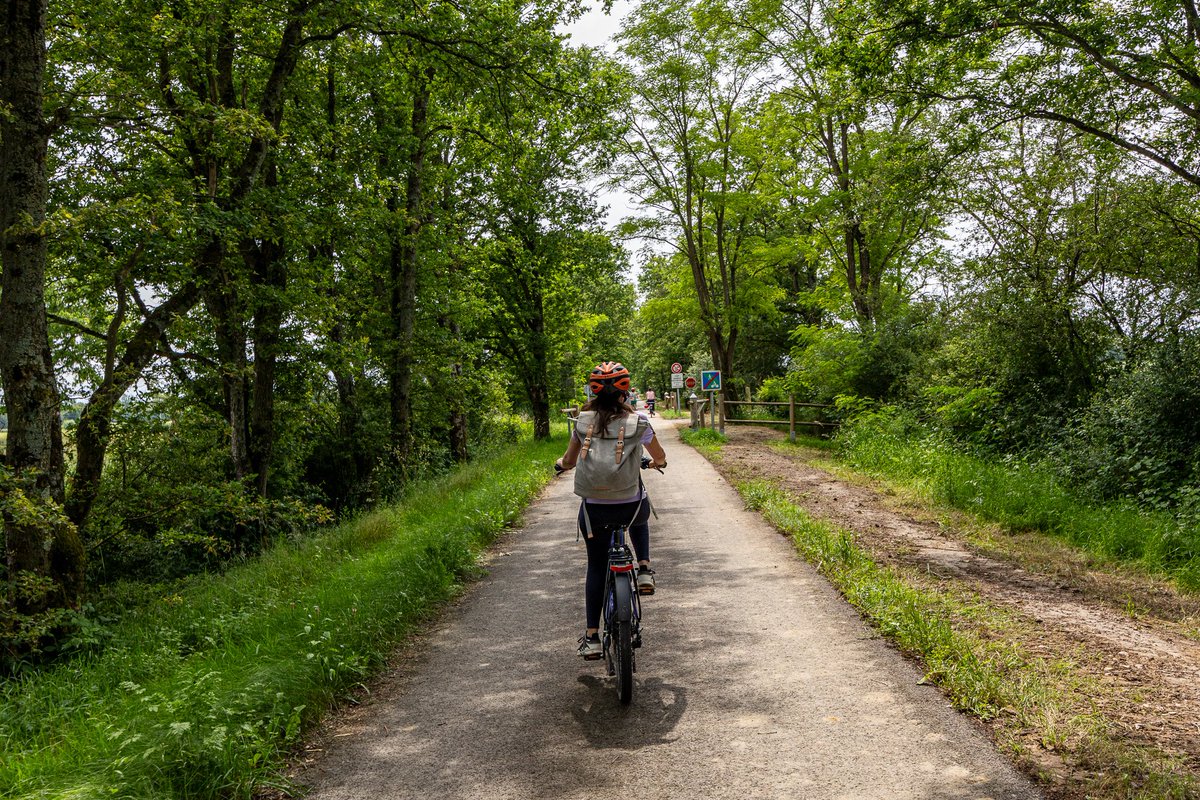 Melle Bon Plan tweet media