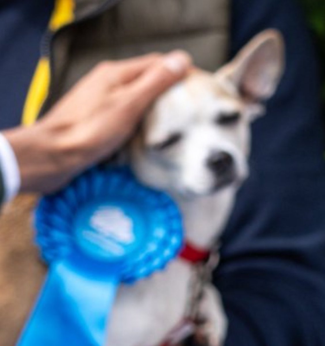 Supertanskiii tweet media