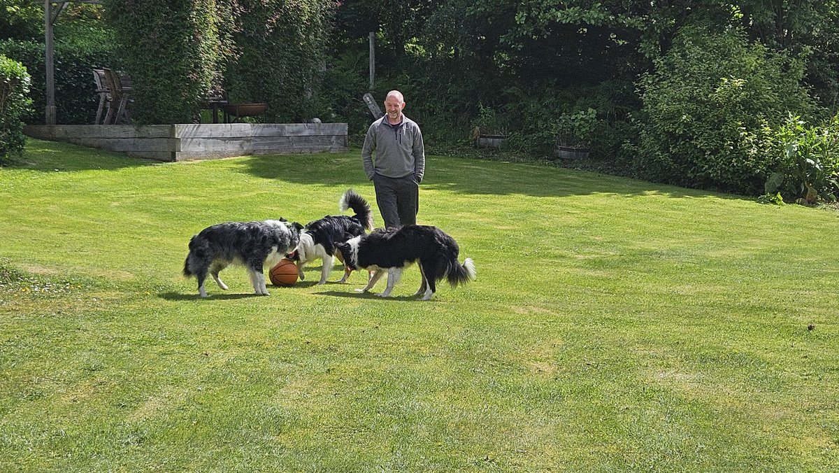 Ripley_Collie 🏴󠁧󠁢󠁳󠁣󠁴󠁿🐾🐶 tweet media