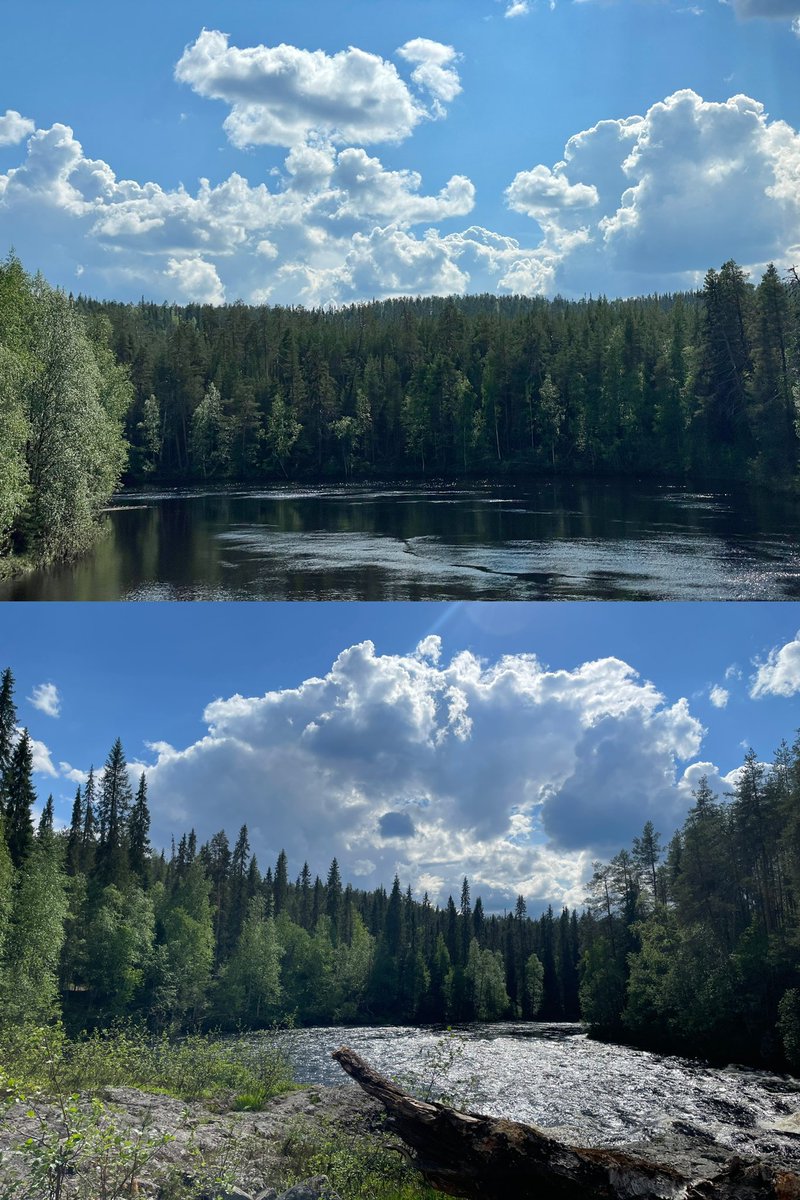ZSN_Chen's tweet photo. So, I personally love Oulanka 💙💚🤍 It's a great place to stay over the weekend between intensive fieldwork weeks. @OulankaStation

#BFF_Water #BoTWU
#WorkLifeBalance https://t.co/ygVw2kjOQF