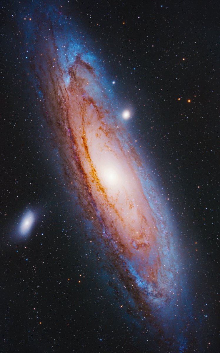 AstroBackyard's tweet photo. A close-up of the Andromeda Galaxy through my telescope. 6 hours total exposure📷 https://t.co/fhrzzKFqD8