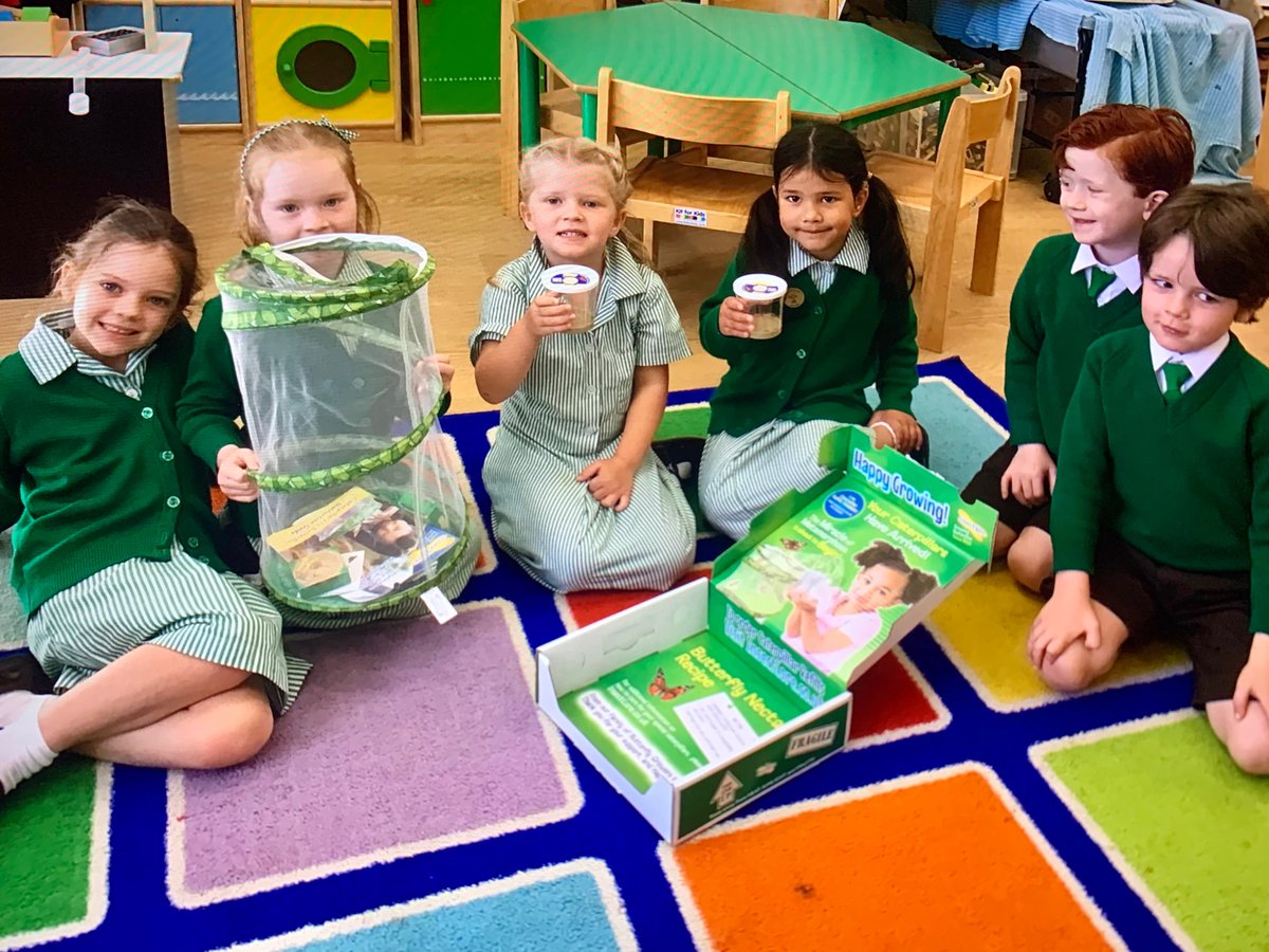 Herries_School's tweet photo. Our Reception Class are learning all about metamorphesis and looking forward to hatching these βpainted ladyβ butterflies from tiny caterpillars! #coedschool #receptionclass #nature #EYFS #cookhammums #marlowmums #cookham #maidenheadmums @isaschools https://t.co/BTPiXEYQ5l