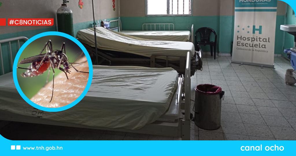 Canal8_hn's tweet photo. #C8Noticias ||🦟 El Hospital Escuela habilitó salas de hospitalización en las tres diferentes Clínicas Periféricas (Clipers) del Distrito Central para atender a los pacientes con síntomas de dengue.
🔗𝐄𝐧𝐥𝐚𝐜𝐞:
https://t.co/FIqFSgUbDC
#Clipers #C8Noticias #Canal8 #HospitalEscuela
