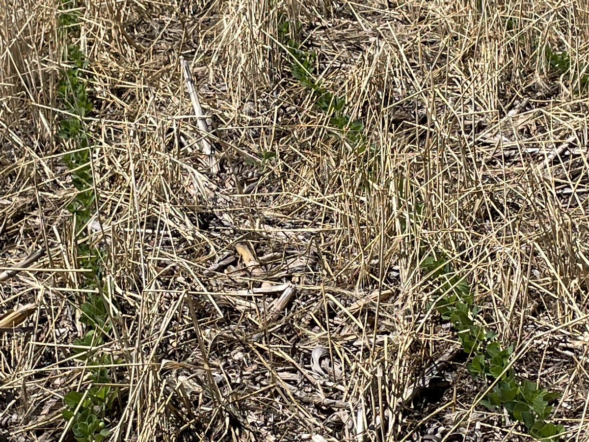 Nick Wilhelm tweet media