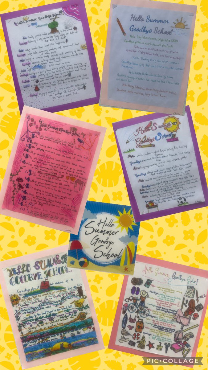 Maria Apuzzo tweet media