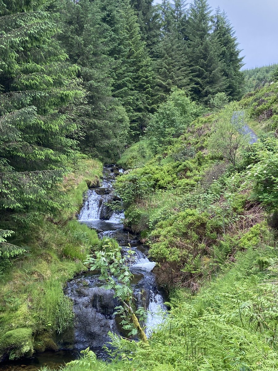 imkegoal's tweet photo. Busman’s holiday again for me today 😃Teamed up with friend and colleague Tyanna to hike to the Source of the Severn. Added Clywedog reservoir for good measure. Last time I visited Clywedog I was at Uni. So proud to say I now work in the field I learned about 24 years back. https://t.co/G6Y9L7Rs3c