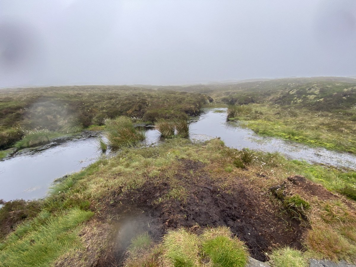 imkegoal's tweet photo. Busman’s holiday again for me today 😃Teamed up with friend and colleague Tyanna to hike to the Source of the Severn. Added Clywedog reservoir for good measure. Last time I visited Clywedog I was at Uni. So proud to say I now work in the field I learned about 24 years back. https://t.co/G6Y9L7Rs3c