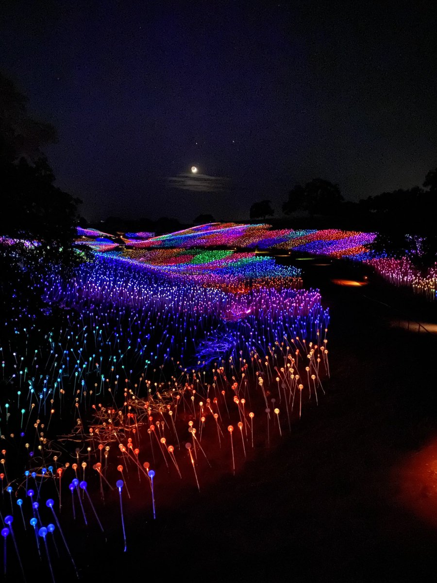 Alvarez17G's tweet photo. #sensorio field of lights, I was able to get a pic of the #moon in the background https://t.co/6mwJQtCoXz