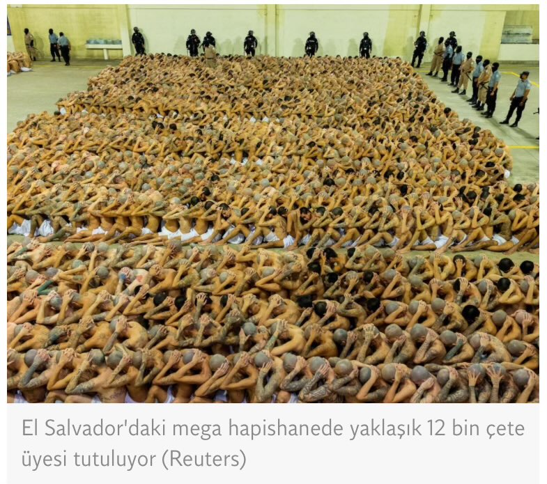 itfo_'s tweet photo. El Salvador’da suç ve suçlu ile yapılan mücadele TEZ konusu olarak ülkemiz okullarında okutulmalı bence.

Önce çeteleri ve örgütleri bitirdiler, suç oranı rekor seviyede düştü, güvenli ülkeler listesine girdiler. Şimdide kamudakileri temizlemeye başladılar.

Biz hala başıboş köpek sorununu çözemedik. Of ki ne offff