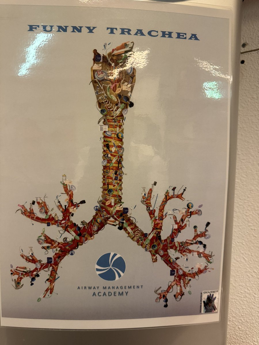 Hans Huitink tweet media