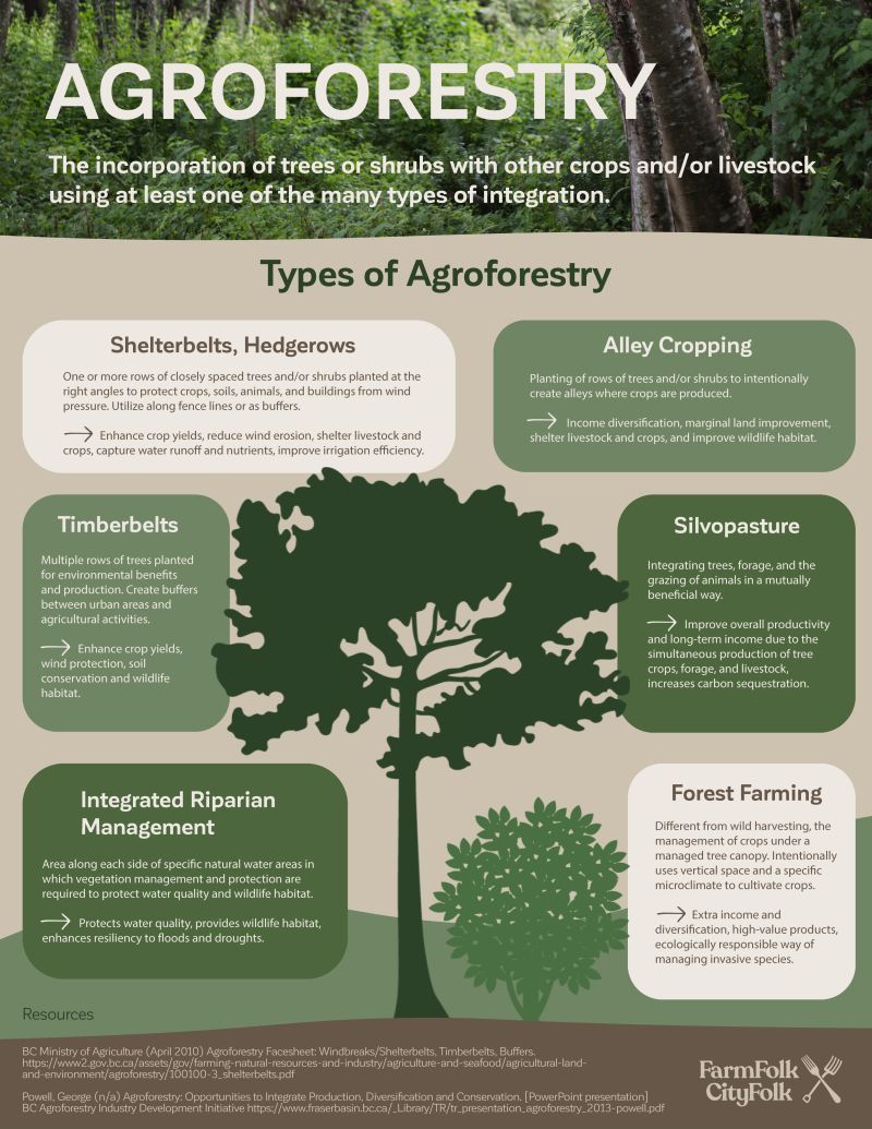 Agroforestry is a practice that involves the combination of trees or shrubs with crop or livestock production. 🌳 

But did you know that agroforestry can take many forms? This infographic from FarmFolk CityFolk lays out six types of #agroforestry. 👇 <a href="/ffcf/">FarmFolk CityFolk</a>