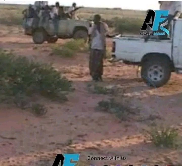 son_gura's tweet photo. #New_updates
after last week's massive mobilization @Mustafe_M_Omer  recruiting numbers of forces in Afar regional states to newly open revenge attack on Afar pastoralists, the desperate forces trying the Last attempts to take control over these Afar heart lands. https://t.co/aM5UbMpUdS