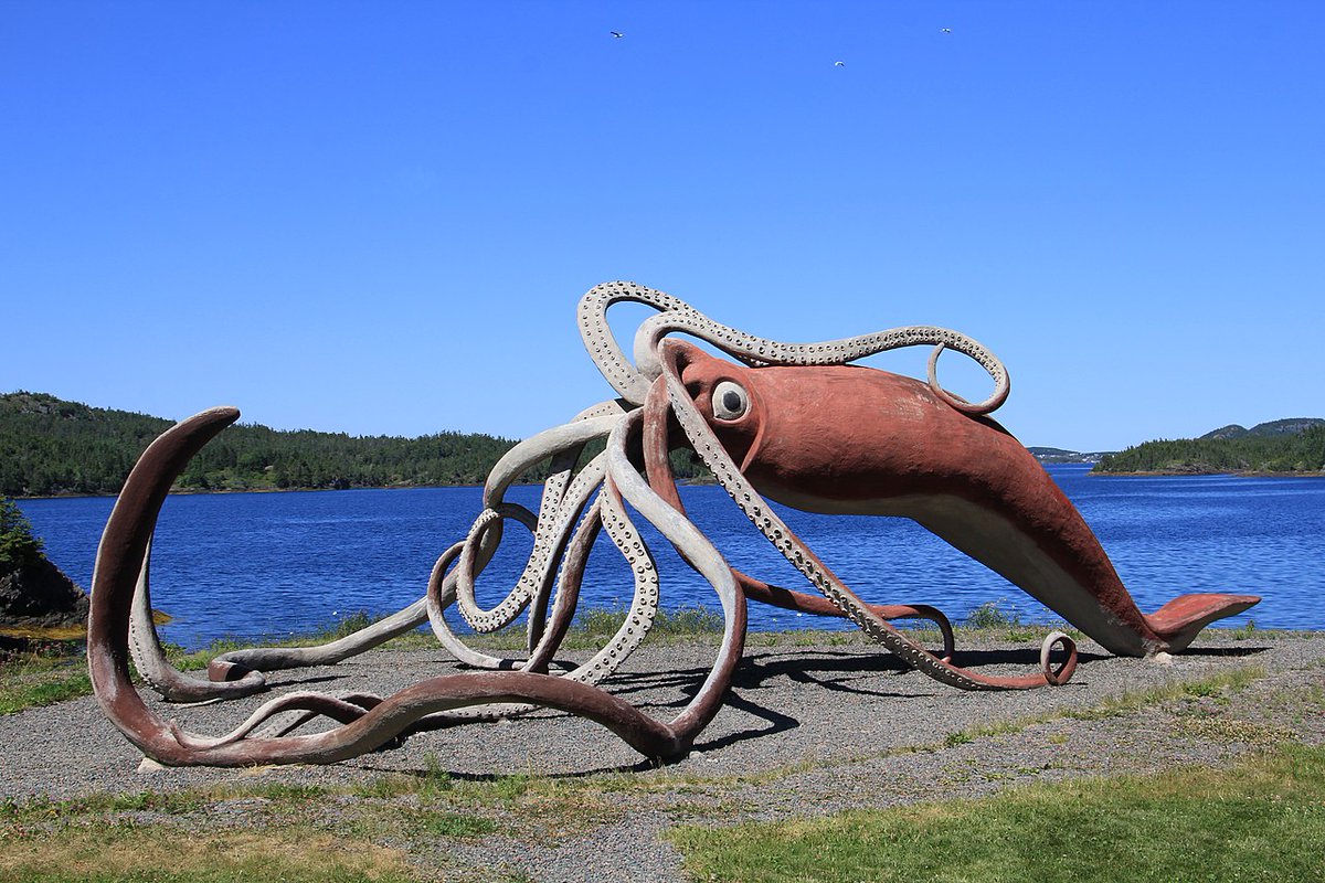 CraigBaird's tweet photo. Canada has many interesting roadside attractions and I am looking at the history of many of them.

Today, it is the Giant Squid in Glovers Harbour, Newfoundland and Labrador.

The story of why there is a giant squid statue in Glovers Harbour dates back to Nov. 2, 1878 when a live animal reported to be 15.8 metres long, was found aground offshore. 

When it was found, it was secured to a tree with a rope and hook where it died after the tide receded. No part of the animal was saved and no photographs were taken. Much of it was cut up for dog food. 

For many years, Guinness World Records recognized the squid as the largest giant squid ever recorded. Today, it is believed the size of the squid may have been exaggerated. 

In 2001, to honour the history of the area related to the squid, the giant squid sculpture was constructed near where the specimen was found. The construction was partially paid for by a $100,000 contribution from the government. 

The squid weighs four tonnes and is made of steel, wire mesh and concrete. It was designed by Don Foulds out of Saskatoon and built by him and his art students. 

In 2009, a heritage centre and a small museum with picnic area was constructed. 
The sculpture was featured on a stamp in 2011. An annual festival is also held at the site.

If you enjoy my Canadian history content, you can support my work with a donation at https://t.co/ori5TwxQs3