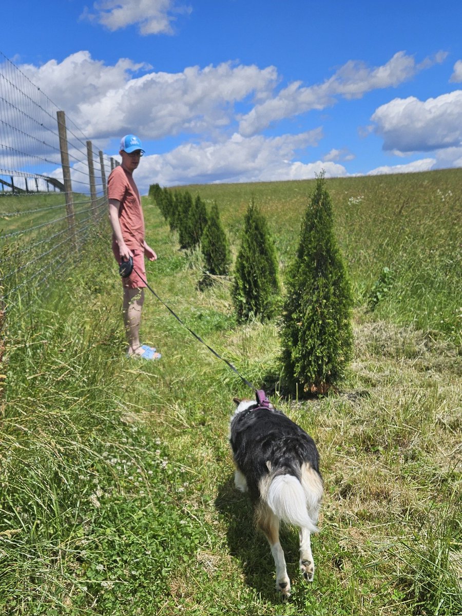 ⚠️Marsa ⚠️ only on 🦋 tweet media