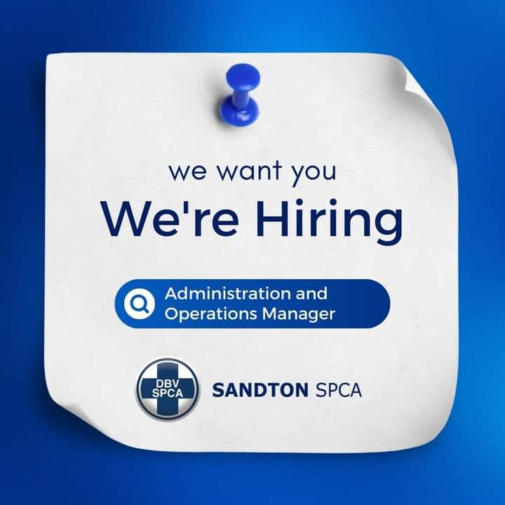 CarolBoitumelo1's tweet photo. SPCA is hiring a 𝗔𝗱𝗺𝗶𝗻𝗶𝘀𝘁𝗿𝗮𝘁𝗶𝗼𝗻 𝗮𝗻𝗱 𝗢𝗽𝗲𝗿𝗮𝘁𝗶𝗼𝗻𝘀 𝗠𝗮𝗻𝗮𝗴𝗲𝗿 in Sandton.

Submit your application with motivation plus a CV – to the General Manager, Stephen Maila 
gm@sandtonspca.org.za before 14th June 2024. https://t.co/uvQpbST2MH