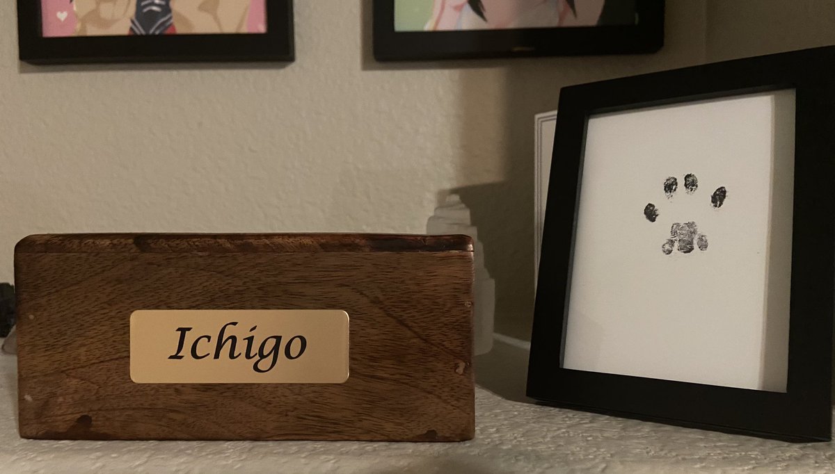 𝔓𝔞𝔫 𝔇𝔲𝔩𝔠𝔢 tweet media