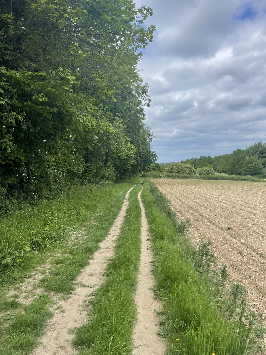 erinjacqgill's tweet photo. The forecast promised a sunny morning, so we headed out. Ended up walking Dorking-Leathered, taking in part of @denbiesvineyard and a stop at @PolesdenLaceyNT. There were a lot of happy dogs (and their owners) on the footpaths today! #summer #weekendwalking https://t.co/BPjlc3Bp2i