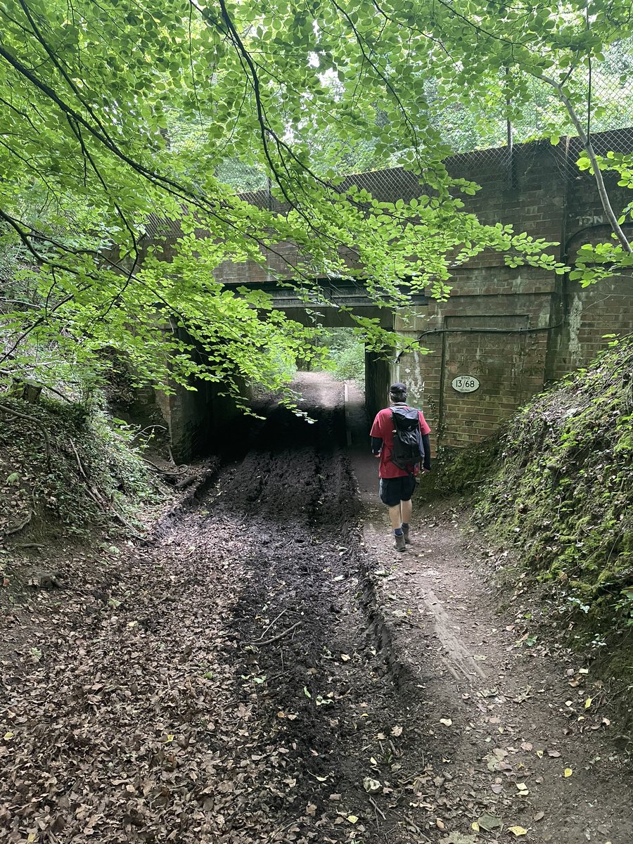 erinjacqgill's tweet photo. The forecast promised a sunny morning, so we headed out. Ended up walking Dorking-Leathered, taking in part of @denbiesvineyard and a stop at @PolesdenLaceyNT. There were a lot of happy dogs (and their owners) on the footpaths today! #summer #weekendwalking https://t.co/BPjlc3Bp2i