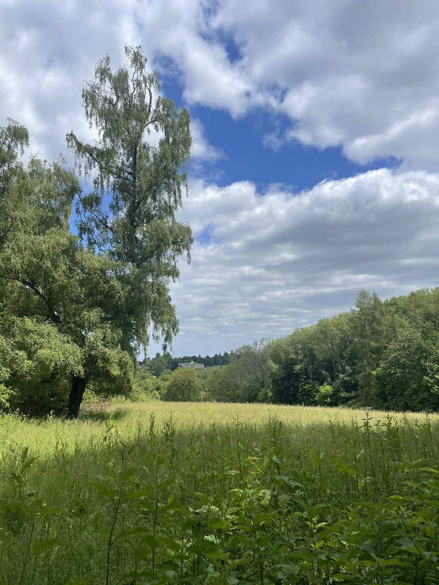 erinjacqgill's tweet photo. The forecast promised a sunny morning, so we headed out. Ended up walking Dorking-Leathered, taking in part of @denbiesvineyard and a stop at @PolesdenLaceyNT. There were a lot of happy dogs (and their owners) on the footpaths today! #summer #weekendwalking https://t.co/BPjlc3Bp2i
